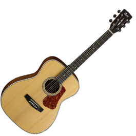 Cort L100C Luce Series Acoustic Guitar
