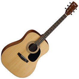 Cort AD810-OP Acoustic Guitar