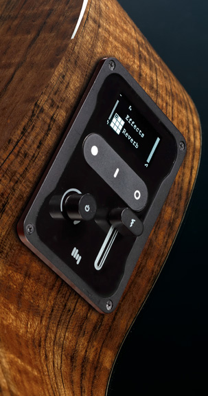 HyVibe Smart Preamp system