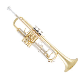 bach btr301 trumpet