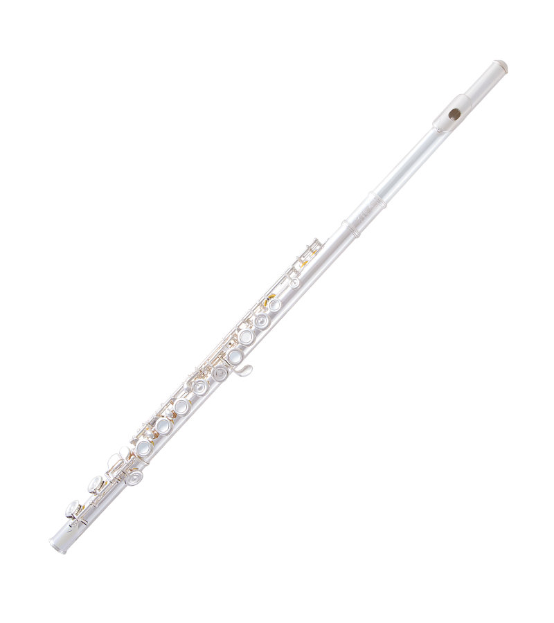 selmer sfl301 Flute