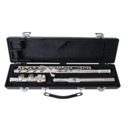 selmer sfl301 flute case