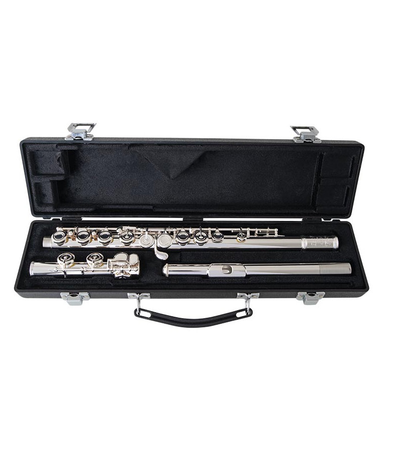 selmer sfl301 flute case