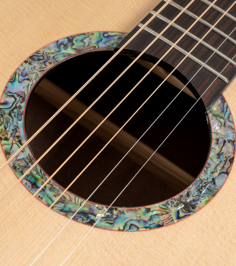 Washburn BTS24S-D