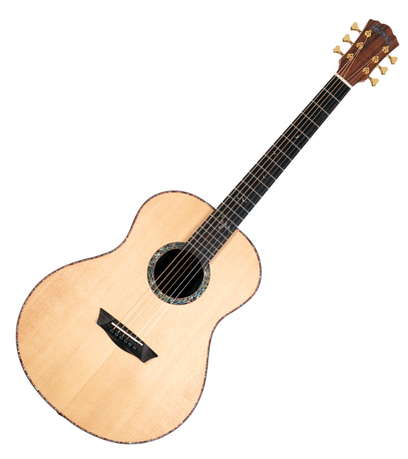 Washburn BTS24S-D