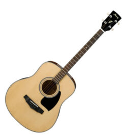 Ibanez PFT2NT Tenor Acoustic Guitar