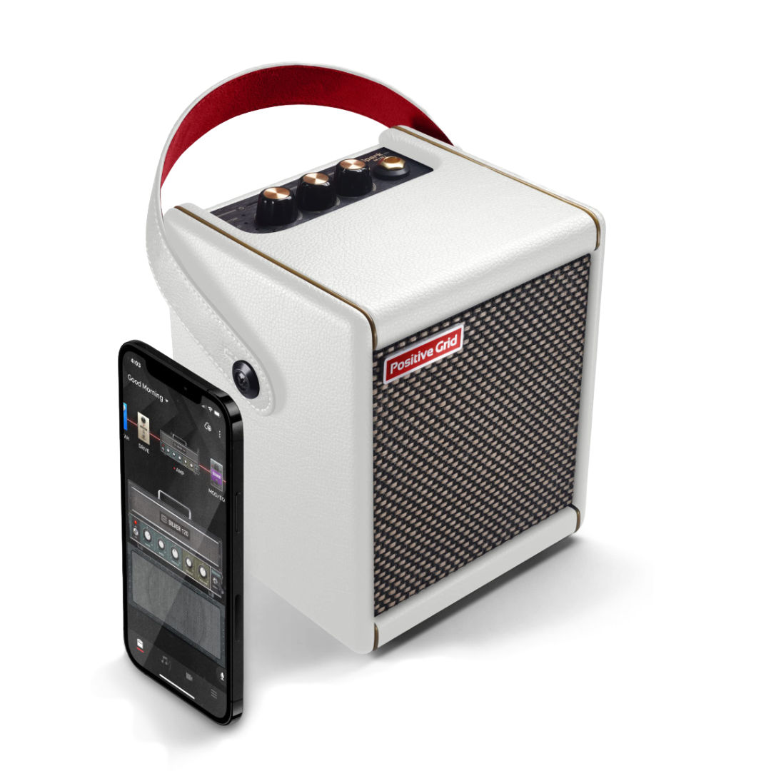 positive grid spark mini