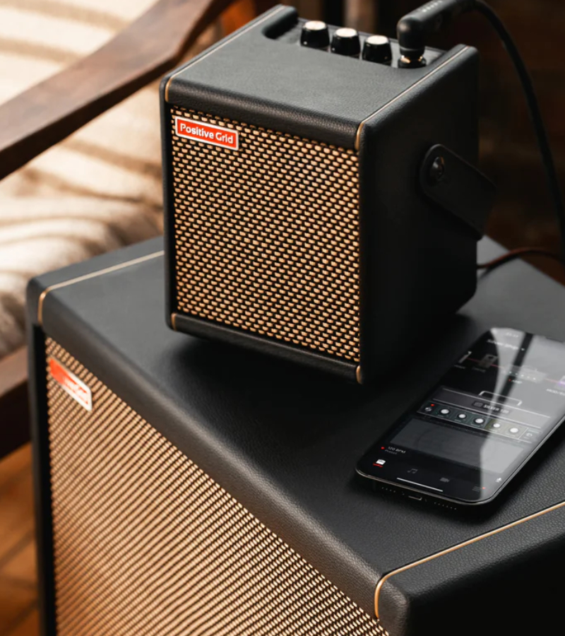positive grid spark-cab with Spark Mini