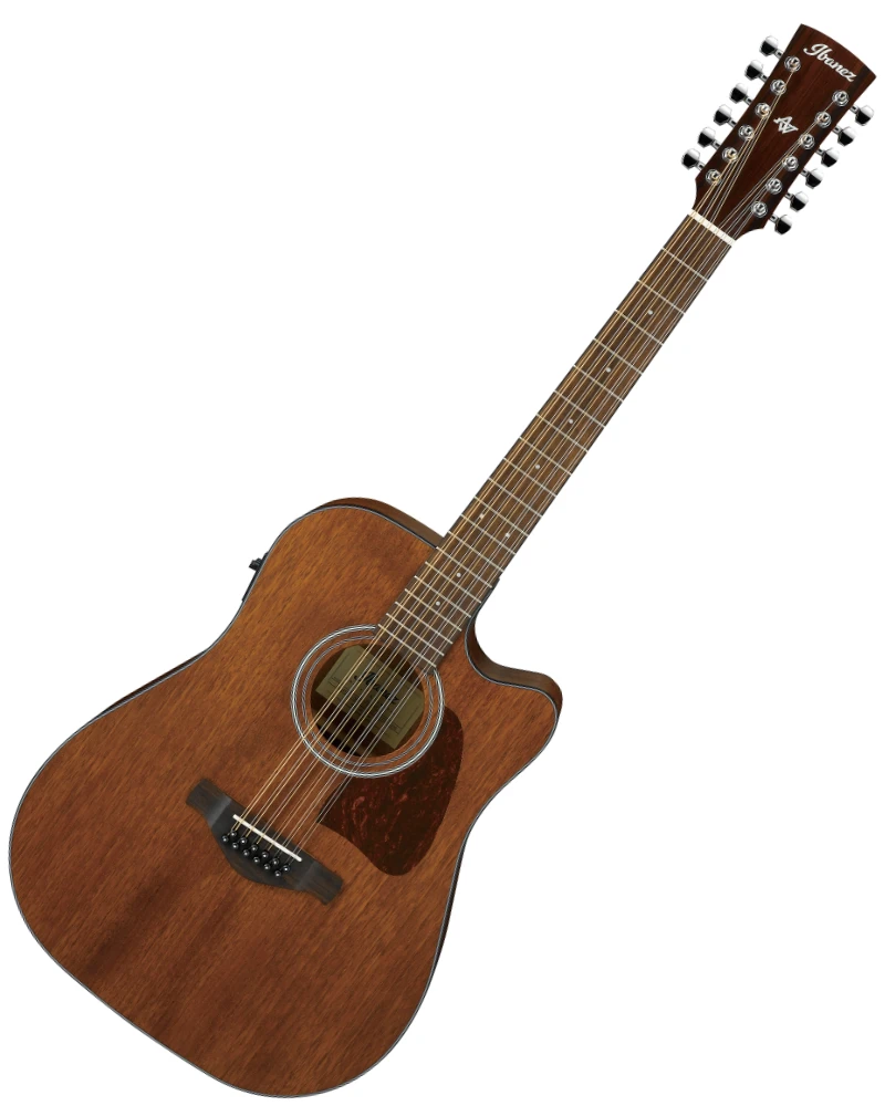 Ibanez AW5412CEOPN Guitar