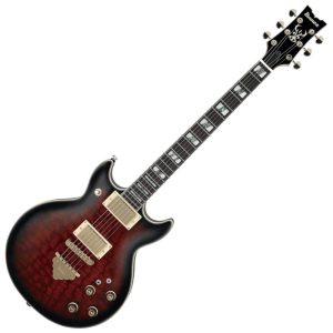 Ibanez AR325QA-DBS